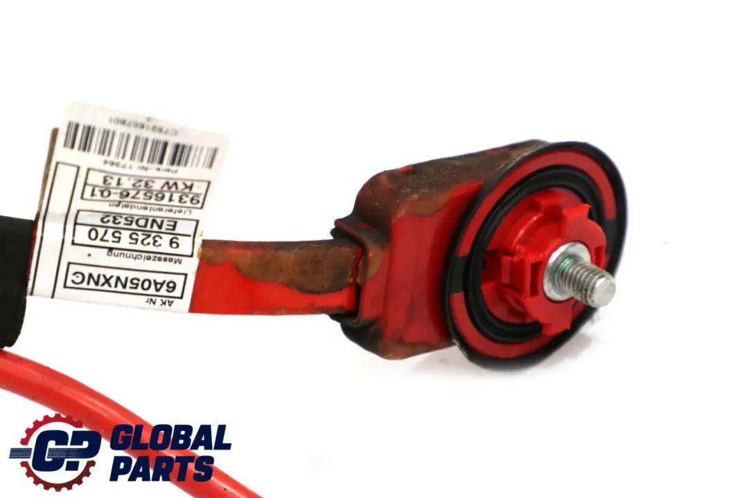 Cavo Batteria Piombo Positivo Sottopavimento per BMW F30 F31 con numero di parte 9316576 BMW F30 F31 Cavo Batteria Piombo Positivo Sottopavimento - SKU 9316576 - Numero di parte 9316576