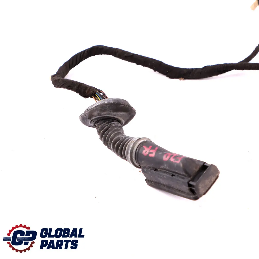 Door Cable Harness Wiring Front Right O/S to BMW F20 with Part number 9335289 BMW F20 Door Cable Harness Wiring Front Right O/S - SKU 9335289 - Part number 9335289