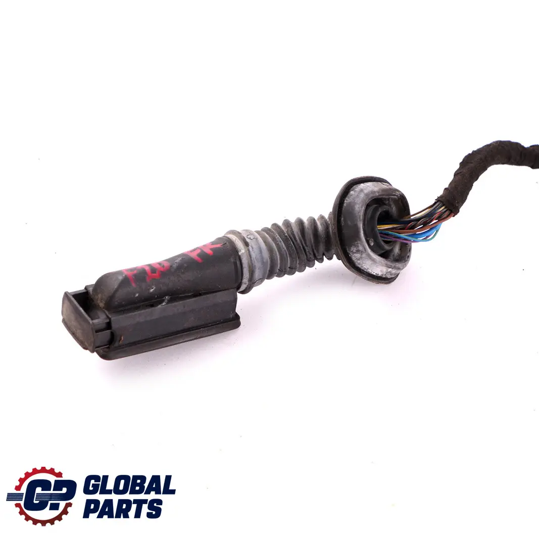 BMW F20 Puerta Cableado Arnés Delantero Derecho - SKU 9335289 - Número de pieza 9335289