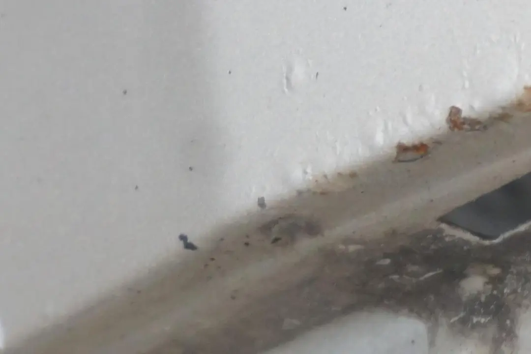 BMW 3 F30 F31 Side Panel Wing Fender Front Right O/S Orionsilber Silver - A92 - SKU 9621598-ORION - Part number 9621598