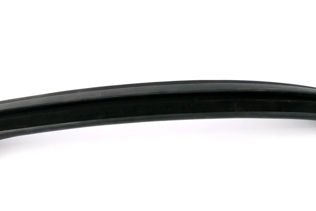 Fensterführung Tür Hinten Links 5135 für BMW MINI Countryman R60 mit Teilenummer 9800613 BMW MINI Countryman R60 Fensterführung Tür Hinten Links 5135 - SKU 9800613 - Teilenummer 9800613