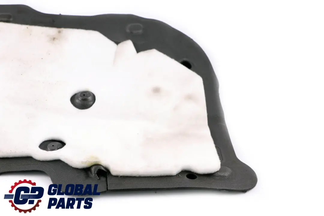 Schallisolierung Tür Vorne Links für BMW MINI Countryman R60 mit Teilenummer 9806197 BMW MINI Countryman R60 Schallisolierung Tür Vorne Links - SKU 9800649 - Teilenummer 9806197