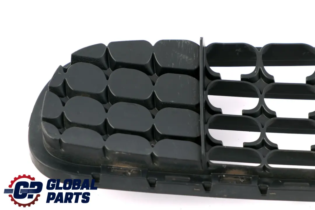 Mini Cooper Countryman Paceman R60 R61 Gitter Unten Verkleidung Vorn - SKU 9801918 - Teilenummer 9801918