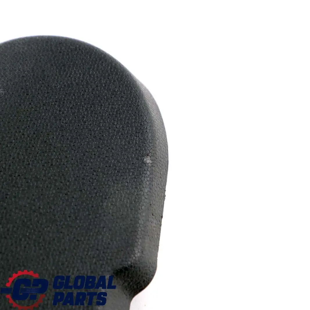 Blende Aussen Hinten Links Carbon Schwarz für BMW Mini Countryman R60 mit Teilenummer 9803551 BMW Mini Countryman R60 Blende Aussen Hinten Links Carbon Schwarz - SKU 9803551 - Teilenummer 9803551