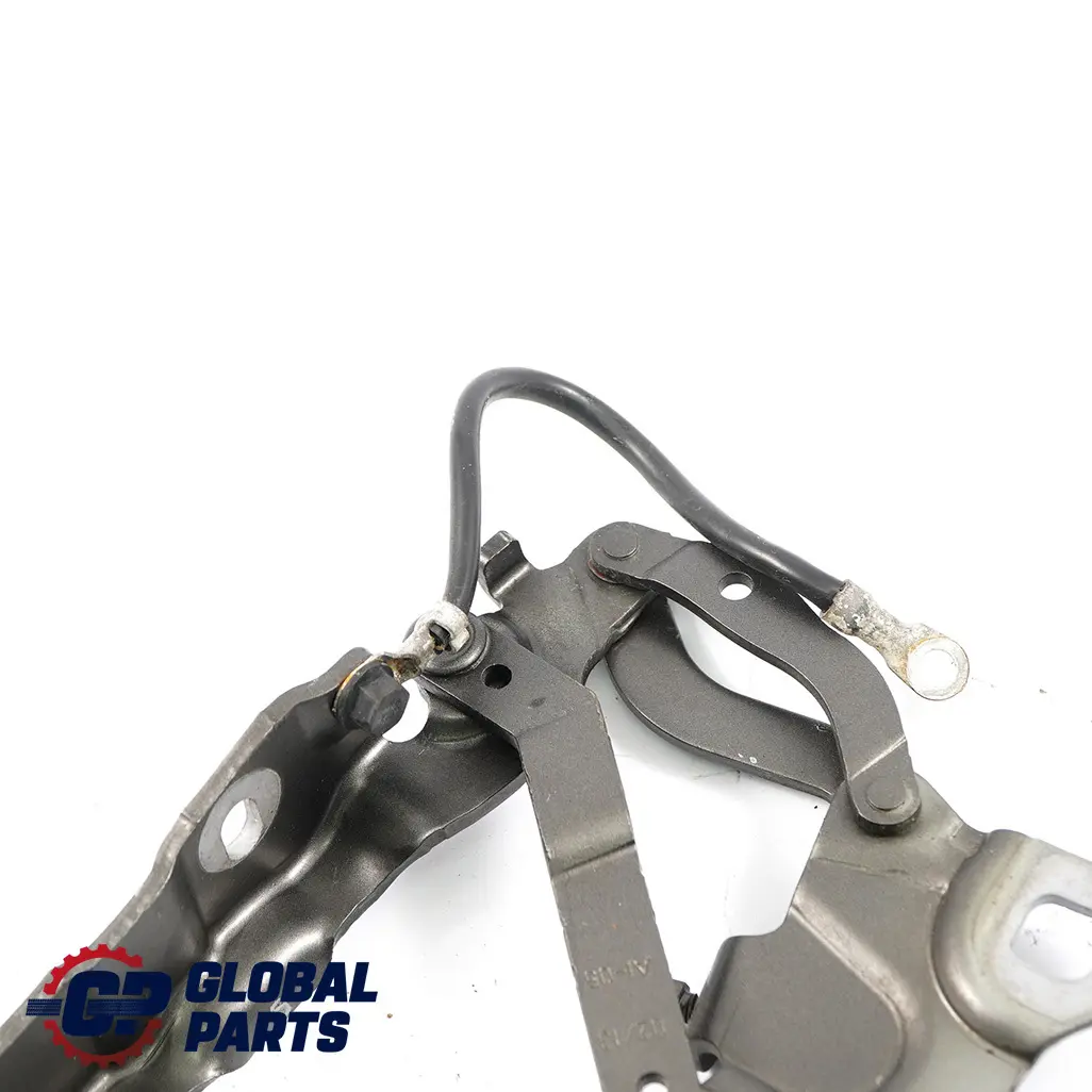 Mini Countryman R60 Cardine Lembo Anteriore Destra Reale Grigio A48 9801570 - SKU 9805938-ROG - Numero di parte 9805938