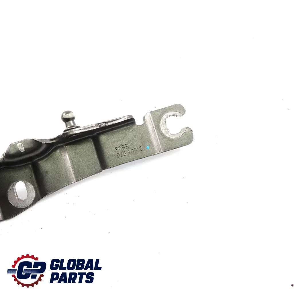Mini Countryman R60 Cardine Lembo Anteriore Destra Reale Grigio A48 9801570 - SKU 9805938-ROG - Numero di parte 9805938