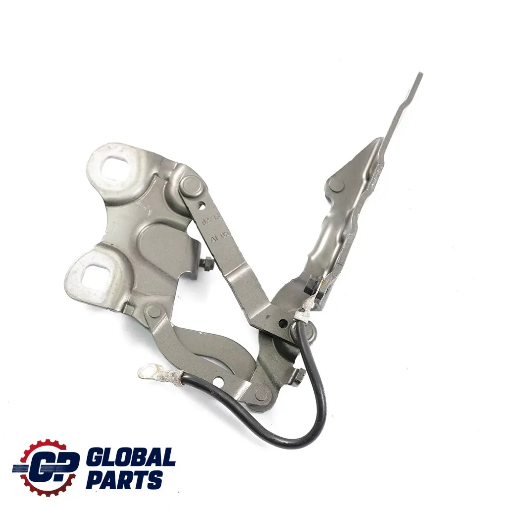 Mini Countryman R60 Cardine Lembo Anteriore Destra Reale Grigio A48 9801570 - SKU 9805938-ROG - Numero di parte 9805938