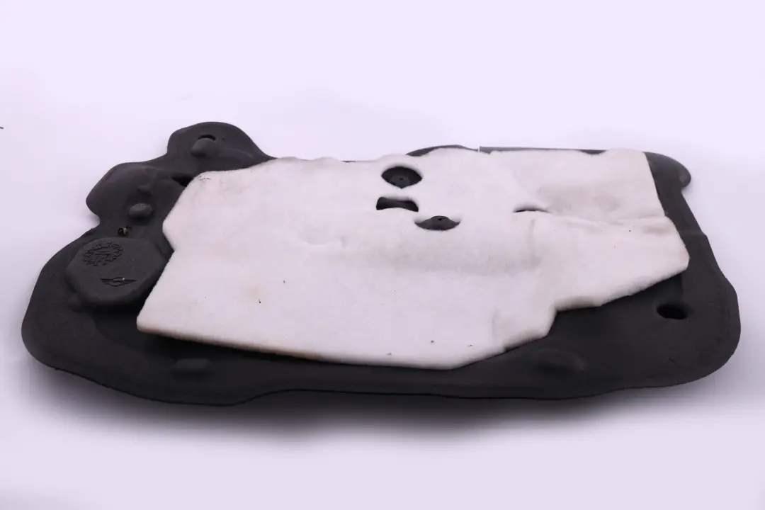 Aislamiento Acustico Puerta Delantera Derecha 9810086 para Mini Countryman R60 con número de pieza 9806198 Mini Countryman R60 Aislamiento Acustico Puerta Delantera Derecha 9810086 - SKU 9806198 - Número de pieza 9806198