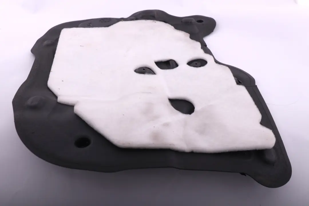 Aislamiento Acustico Puerta Delantera Derecha 9810086 para Mini Countryman R60 con número de pieza 9806198 Mini Countryman R60 Aislamiento Acustico Puerta Delantera Derecha 9810086 - SKU 9806198 - Número de pieza 9806198