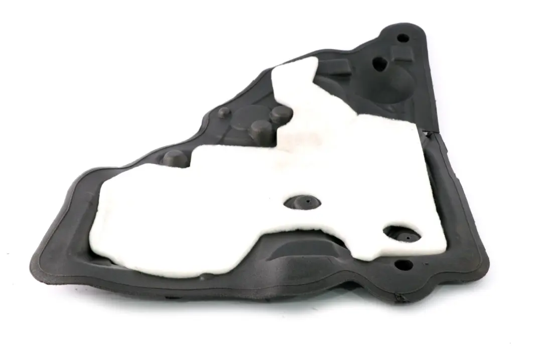 Mini Countryman R60 Isolamento Acustico Porta Posteriore Sinistra - SKU 9806199 - Numero di parte 9806199