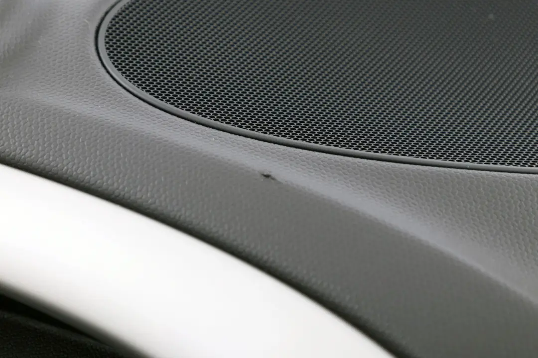 MINI Countryman R60 Front Left N/S Door Card Trim Panel Carbon Black - SKU 9807531 - Part number 9807531