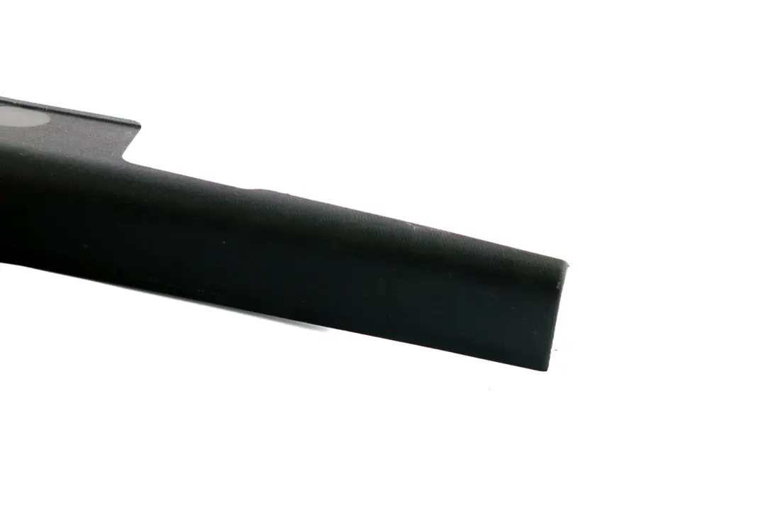 Einstiegsleiste Hinten Rechts Schwarz für Mini Paceman R61 mit Teilenummer 9808904 Mini Paceman R61 Einstiegsleiste Hinten Rechts Schwarz - SKU 9808904 - Teilenummer 9808904