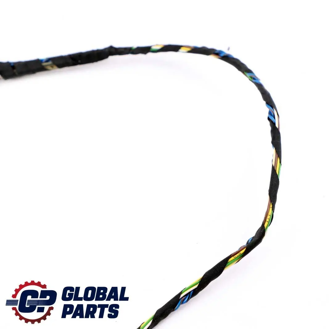 Mini Paceman R61 Cable Door Rear Left Right N/O/S Wiring Harness - SKU 9810061 - Part number 9810061