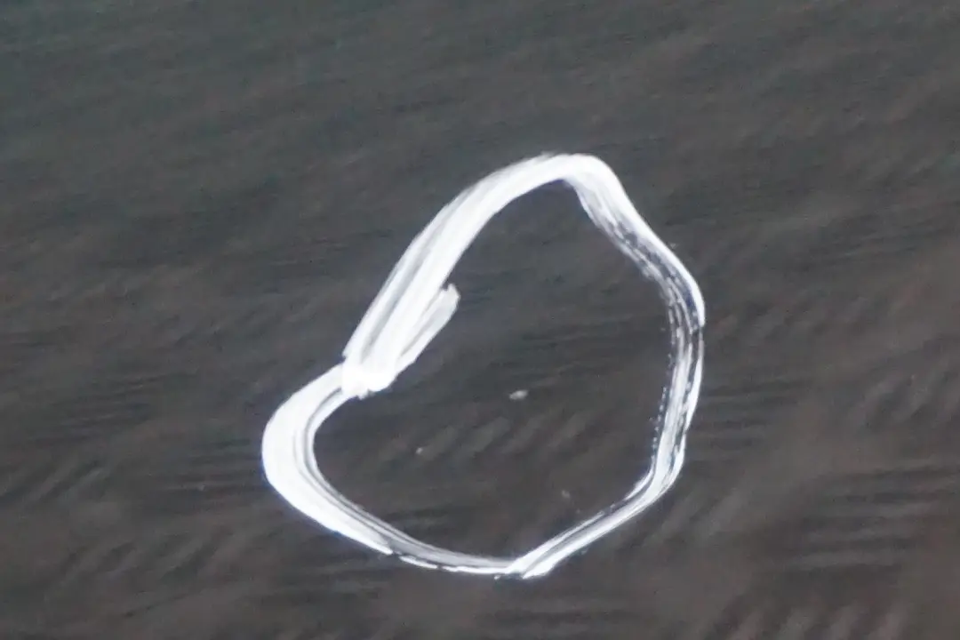 Klapa tylna tył Oxfordgruen do MINI Countryman R60 o numerze 2752015 MINI Countryman R60 Klapa tylna tył Oxfordgruen - SKU 9811574-OXF - Numer Części 2752015