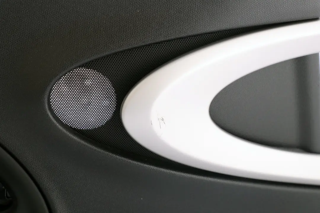 Trasero Izquierdo Panel De La Tarjeta De Puerta Negro Carbono para MINI Paceman R61 con número de pieza 9812205 MINI Paceman R61 Trasero Izquierdo Panel De La Tarjeta De Puerta Negro Carbono - SKU 9812205 - Número de pieza 9812205