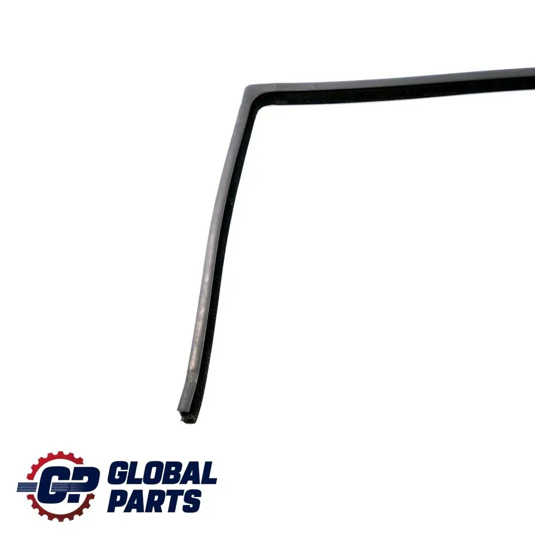 Mercedes M-Class ML W163 Rear Left Door N/S Window Sealing Frame - SKU A1637301560 - Part number A1637301560