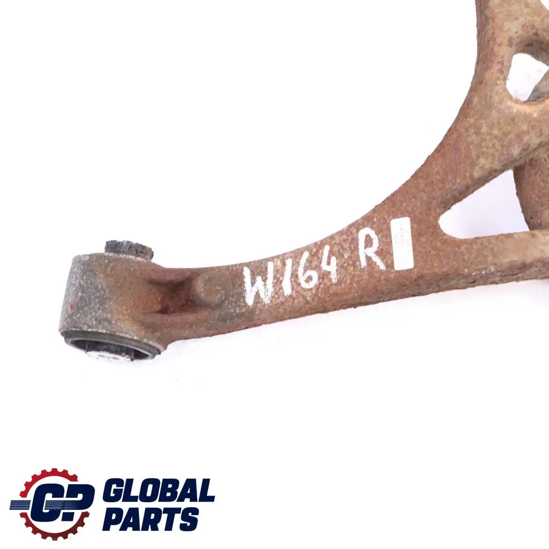 Bras de contrôle arrière droit Essieu de tige d Wishbone inférieur pour Mercedes W164 à propos du numéro de pièce A1643502006 Mercedes W164 Bras de contrôle arrière droit Essieu de tige d Wishbone inférieur - SKU A1643502006 - Numéro de pièce A1643502006