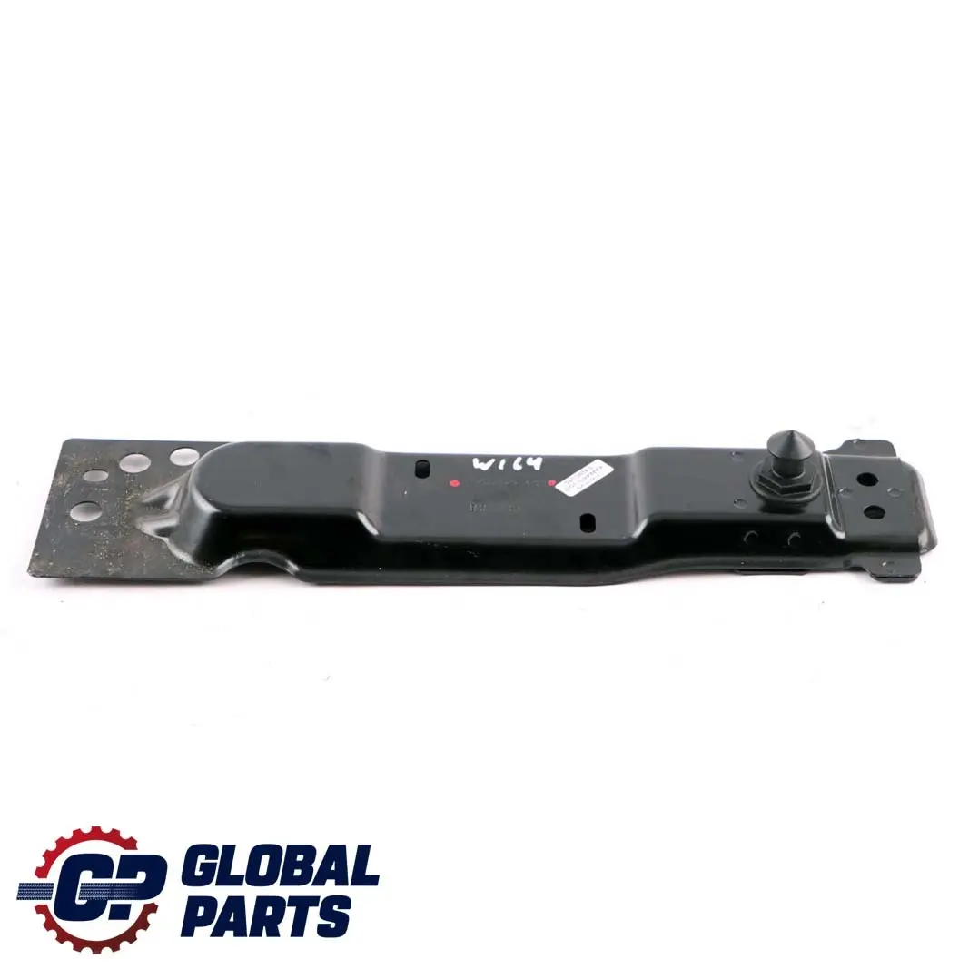 Mercedes W164 Kennzeichenabdeckung Halterung - SKU A1646122331 - Teilenummer A1646122331