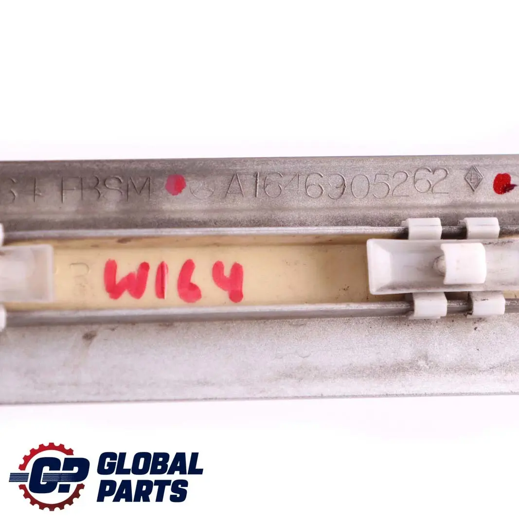 Front Right Door Trim Molding Strip Iridium Silver 775 to Mercedes ML W164 with Part number A1646905262 Mercedes ML W164 Front Right Door Trim Molding Strip Iridium Silver 775 - SKU A1646905262-IRS - Part number A1646905262