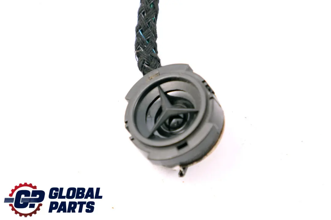  Mercedes-Benz Clase A W168 Altavoz De puerta delantero izquierdo - SKU A1688200102 - Número de pieza A1688200102