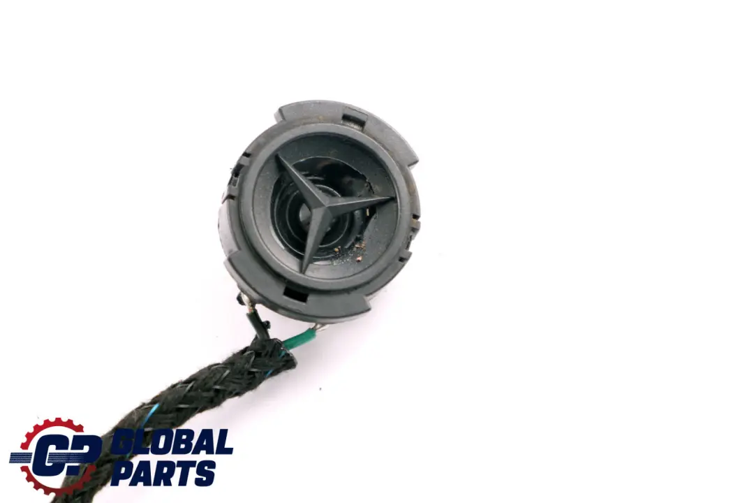 Mercedes-Benz Classe A W168 Altoparlante Porta Anteriore Destra O/S per con numero di parte A1688200202 Mercedes-Benz Classe A W168 Altoparlante Porta Anteriore Destra O/S - SKU A1688200202 - Numero di parte A1688200202