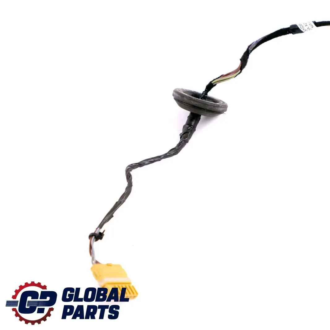  Mercedes-Benz A B W169 W245 Puerta Cable Cableado Loom Trasero Izquierdo Derecho - SKU A1695403905 - Número de pieza A1695403905