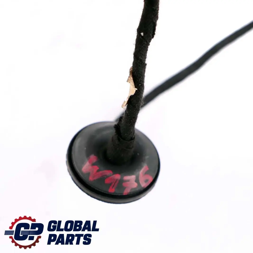 Mercedes-Benz A W176 Front Right Door Cable Wiring Loom Harness O/S to with Part number A1695450145 Mercedes-Benz A W176 Front Right Door Cable Wiring Loom Harness O/S - SKU A1695450145 - Part number A1695450145