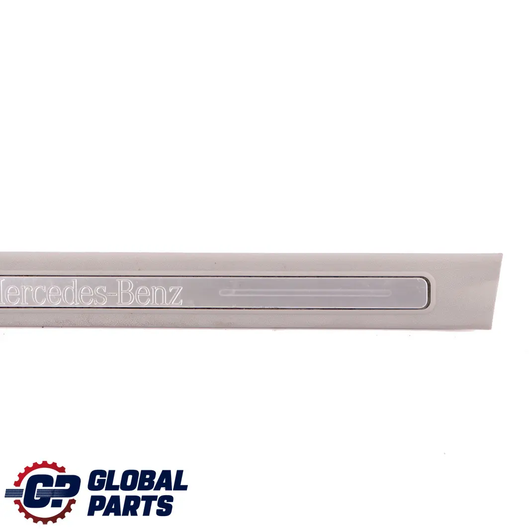  Mercedes-Benz A-Class W169 Front Left Door N/S Sill Entrance Trim Strip Grey - SKU A1696801174-2 - Part number A1696801174