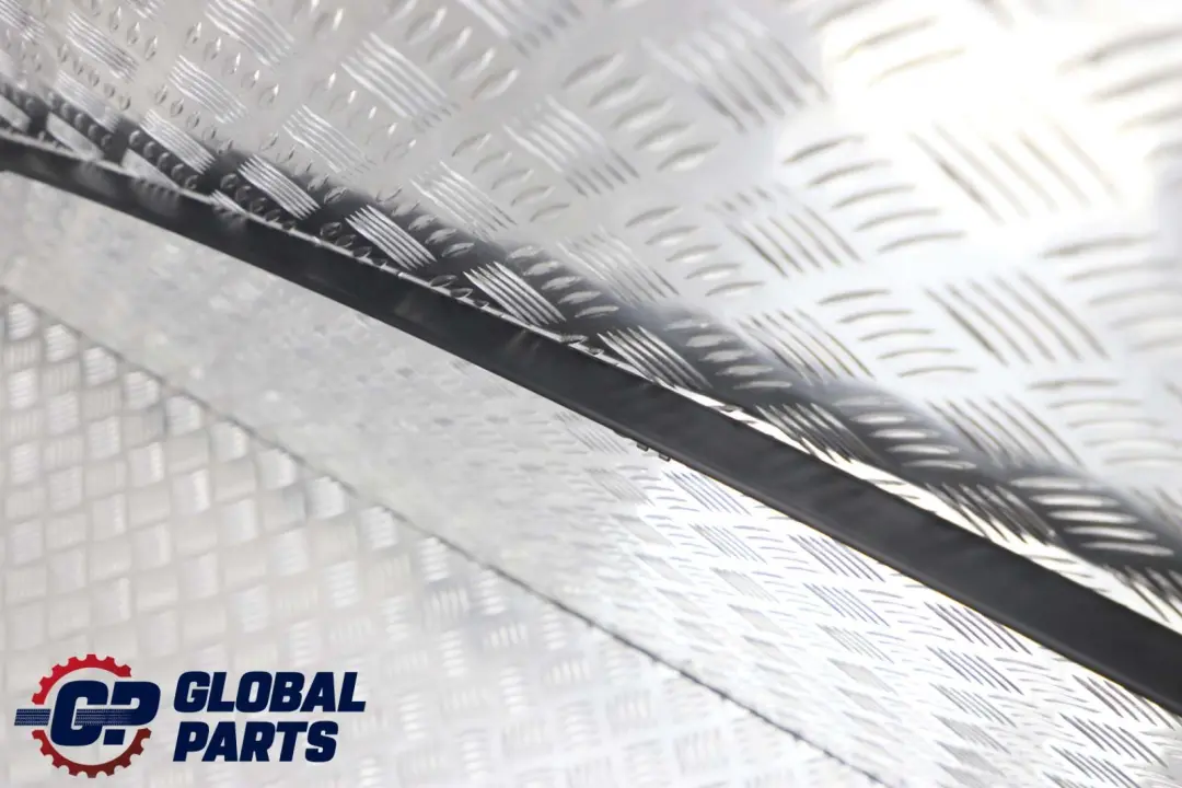 Mercedes B Class W245 Left N/S Roof Moulding Trim Strip Cover Panel - SKU A1696901730 - Part number A1696901730