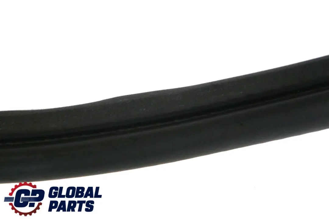 Mercedes A W169 Rear Left Right Door N/O/S Seal Gasket Weatherstrip - SKU A1696920176 - Part number A1696920176