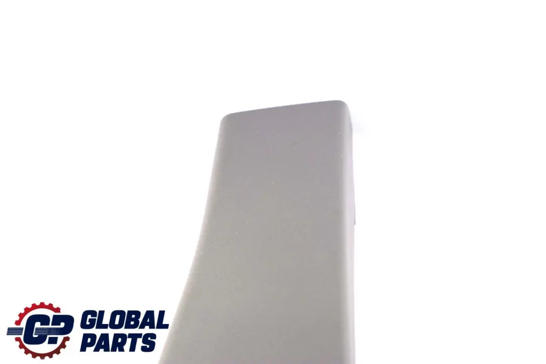 Mercedes A B Class W169 W245 Column B-Pillar Trim Panel Right Grey - SKU A1696920222-1 - Part number A1696920222