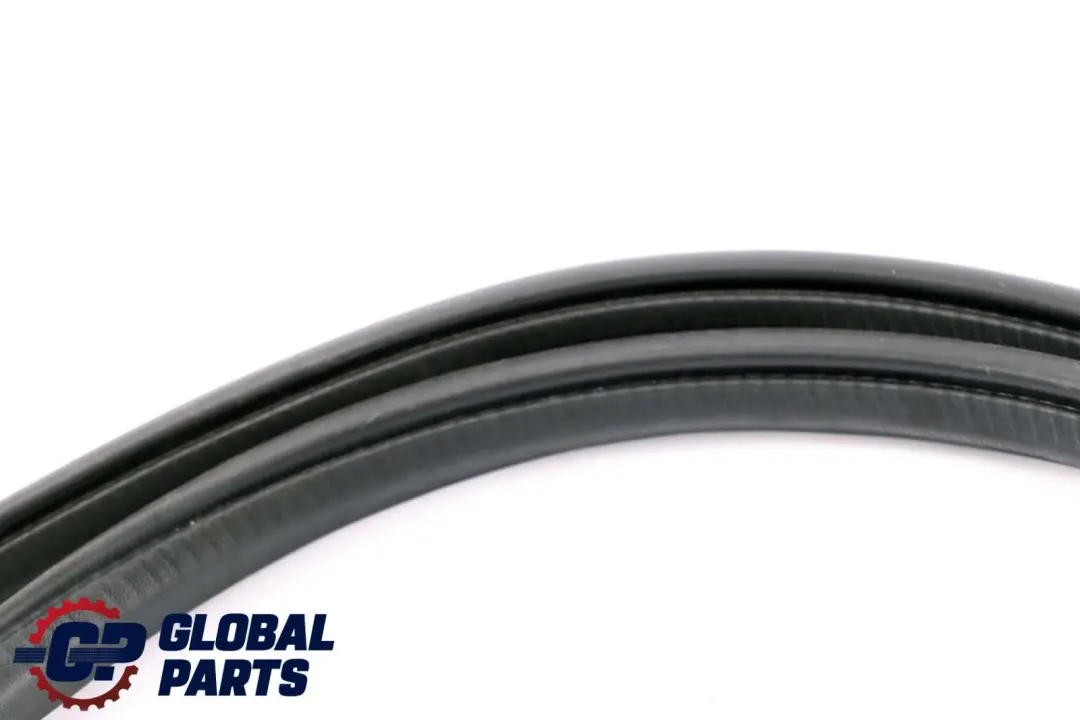 Mercedes B W245 Rear Left Right Door N/O/S Seal Gasket Weatherstrip - SKU A1696920476 - Part number A1696920476