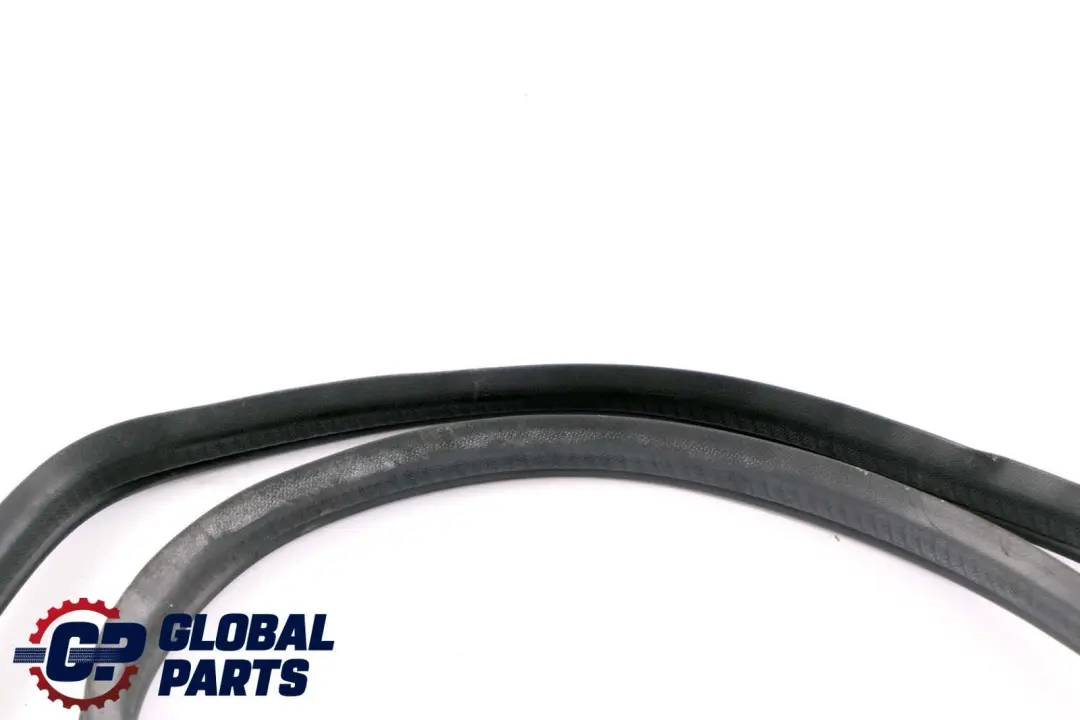 Mercedes B W245 Rear Left Right Door N/O/S Seal Gasket Weatherstrip - SKU A1696920476 - Part number A1696920476