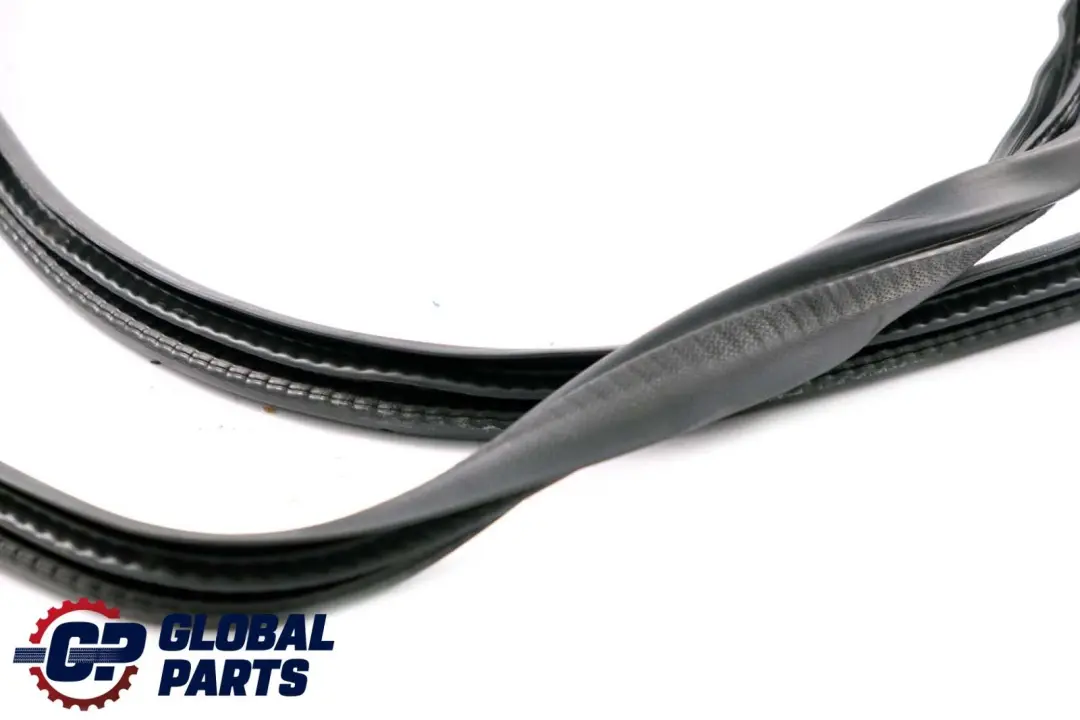 Mercedes B W245 Rear Left Right Door N/O/S Seal Gasket Weatherstrip - SKU A1696920476 - Part number A1696920476