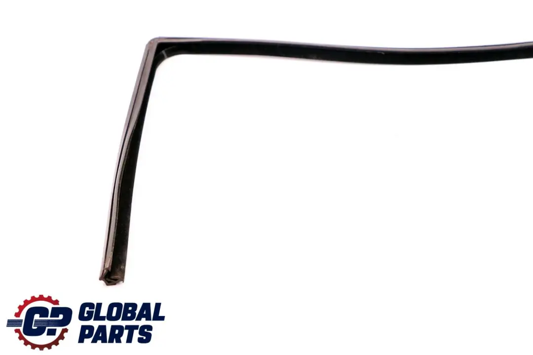 Mercedes B-Class W245 Rear Left Door N/S Window Guide Seal Gasket - SKU A1697350725 - Part number A1697350725
