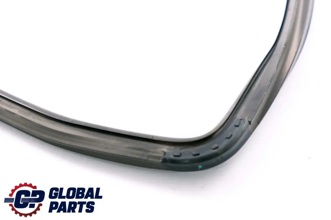  Mercedes-Benz B W245 Tür Hinten Links Fensterführung Dichtung - SKU A1697350725 - Teilenummer A1697350725