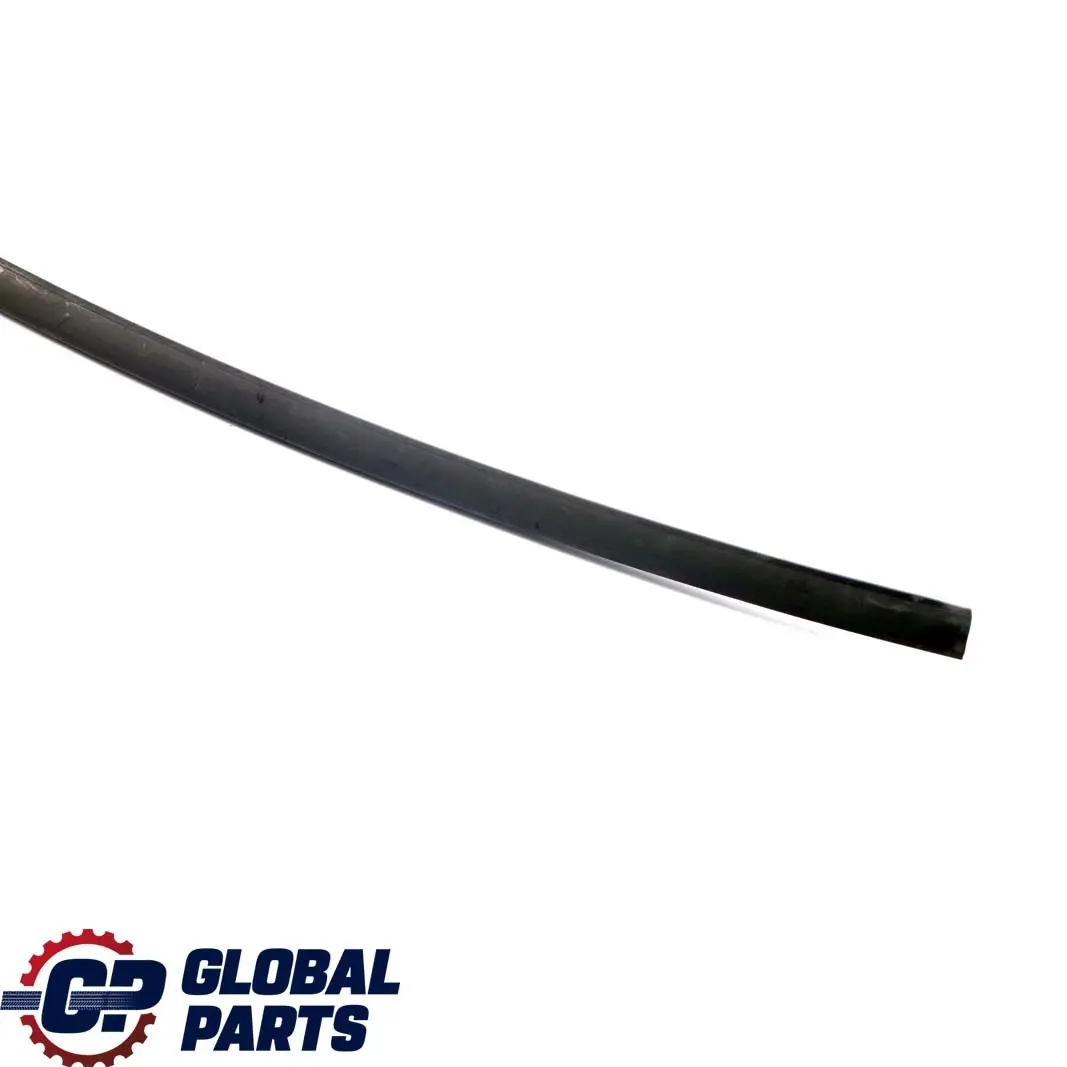 Mercedes Benz Classe C W203 Modanatura Frontale Superiore Parabrezza - SKU A2036700539 - Numero di parte A2036700539