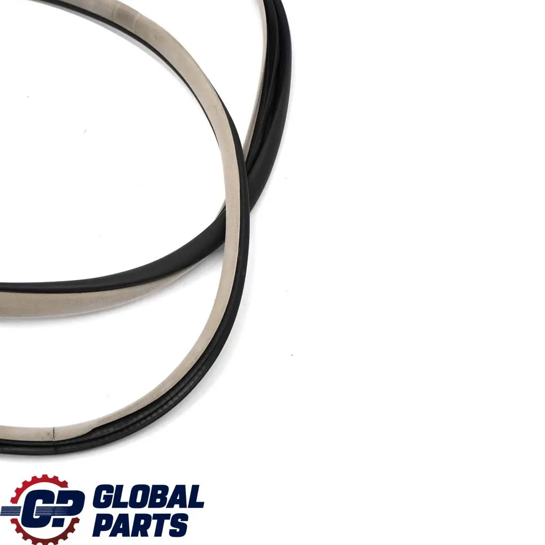  Mercedes-Benz CL203 Door Seal Frame Gasket Left Right N/O/S Quartz - SKU A2036970551-q - Part number A2036970551
