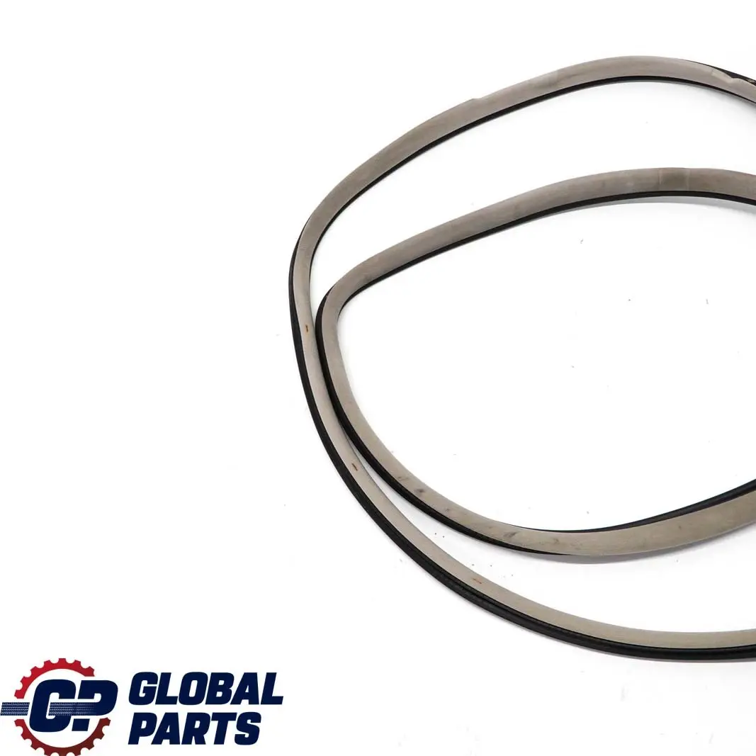 Mercedes-Benz CL203 Door Seal Frame Gasket Left Right N/O/S Quartz - SKU A2036970551-q - Part number A2036970551