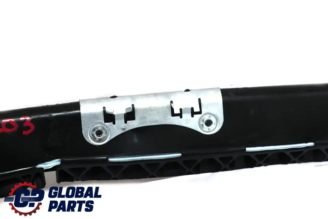 Tenda laterale sinistra a scomparsa Airbag per Mercedes CL203 con numero di parte A2038601905 Mercedes CL203 Tenda laterale sinistra a scomparsa Airbag - SKU A2038601905 - Numero di parte A2038601905