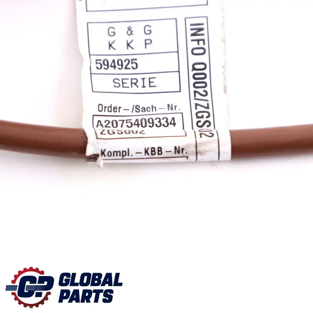  Mercedes-Benz E-Class W207 Cabrio A207 Battery Ground Cable Wiring Mass Lead - SKU A2075409334 - Part number A2075409334