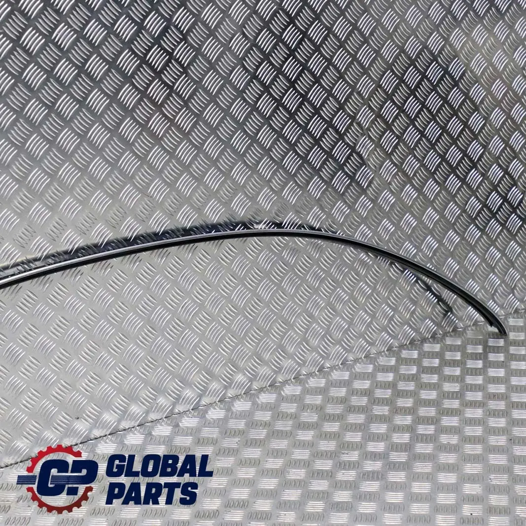 Mercedes Benz CLK Class C209 Left N/S Roof Side Moulding Trim Strip - SKU A2096900580 - Part number A2096900580