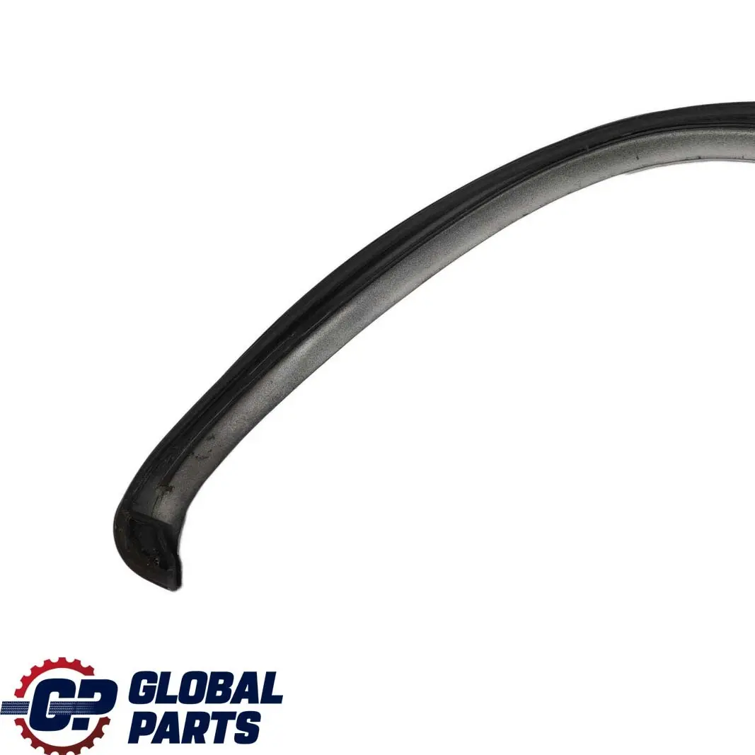  Mercedes-Benz E W210 Left N/S Door Window Cover Strip Top Brillantsilber Silver - SKU A2106981189-BRS - Part number A2106981189