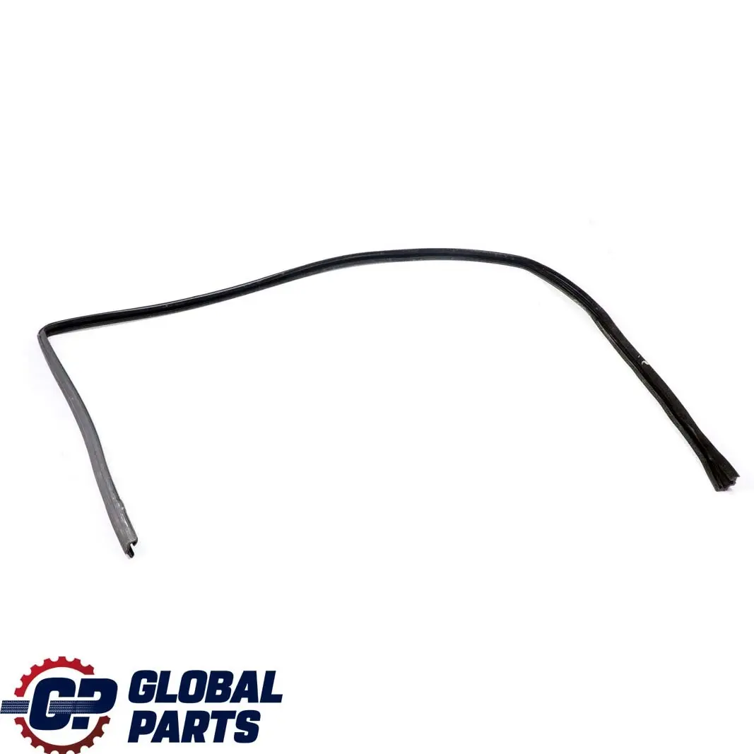 Mercedes-Benz W210 Porta Frontale SX Istruzioni Fensterschienen A2107250925