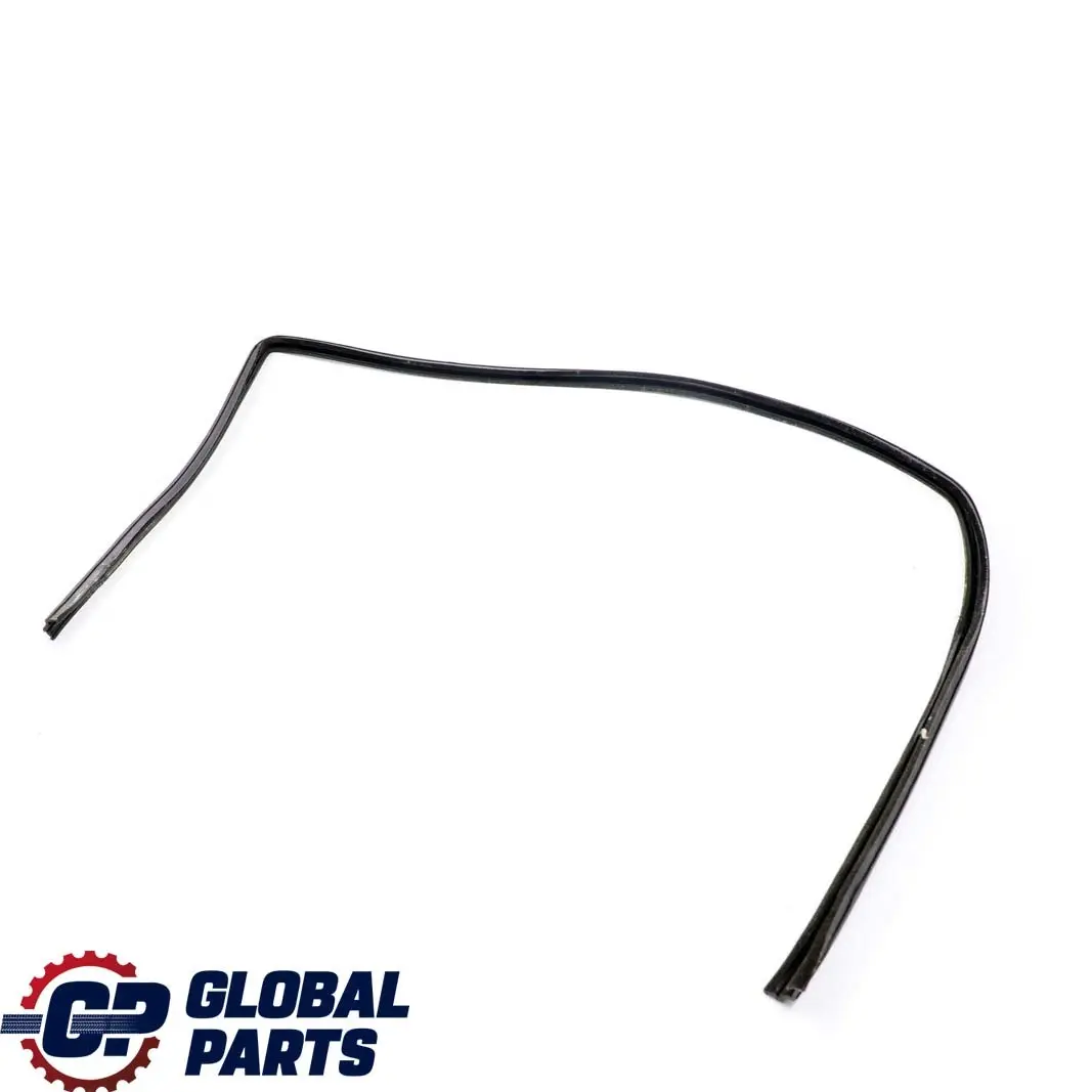 Mercedes W210 Puerta Delantera Izquierda Guia De Ventana Junta De Sellado - SKU A2107250925 - Número de pieza A2107250925