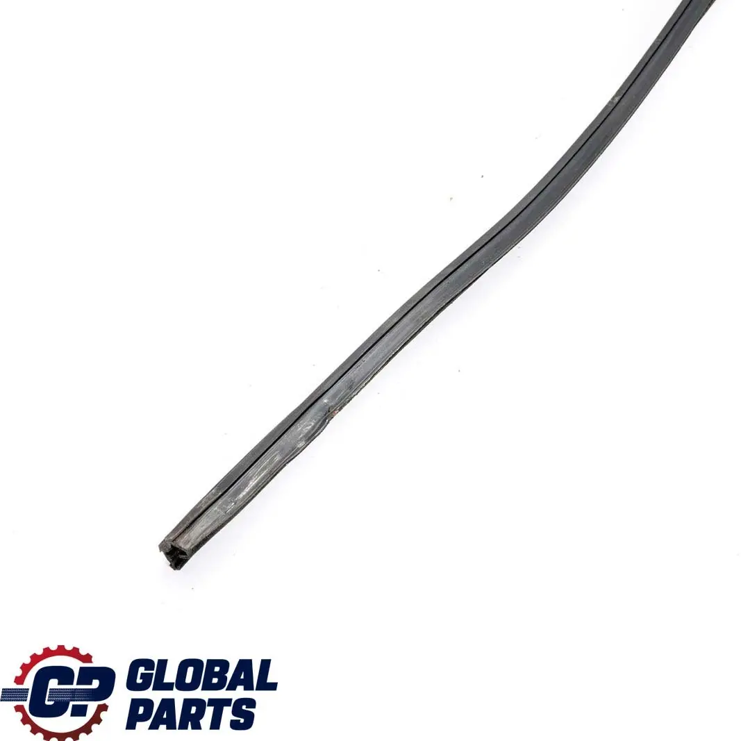 Mercedes W210 Puerta Delantera Izquierda Guia De Ventana Junta De Sellado - SKU A2107250925 - Número de pieza A2107250925