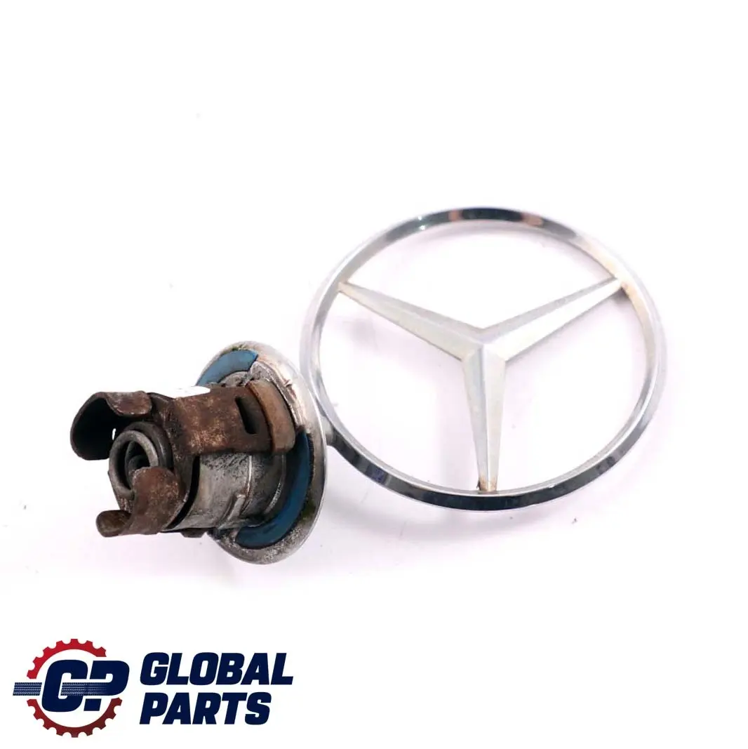 Cofano Emblema Stella Alzata Distintivo per Mercedes C E S W124 W202 W210 W211 W220 con numero di parte A2108800186 Mercedes C E S W124 W202 W210 W211 W220 Cofano Emblema Stella Alzata Distintivo - SKU A2108800186-1 - Numero di parte A2108800186