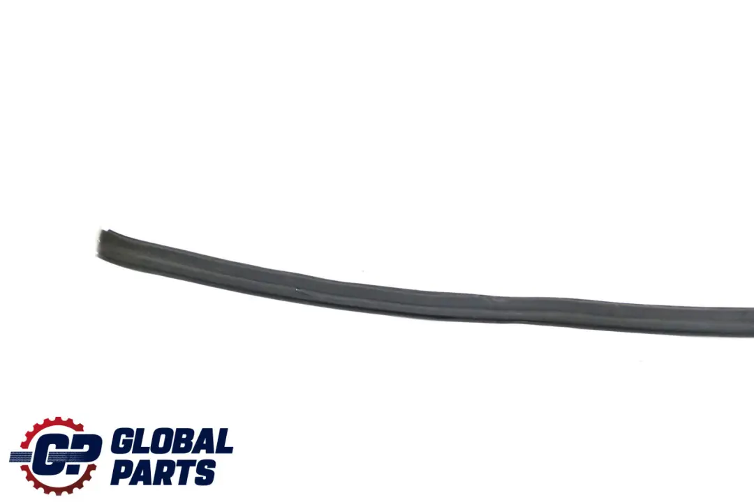  Mercedes-Benz W211 Cofano Motore Gomma Striscia Guarnizione Meteo - SKU A2116280398 - Numero di parte A2116280398