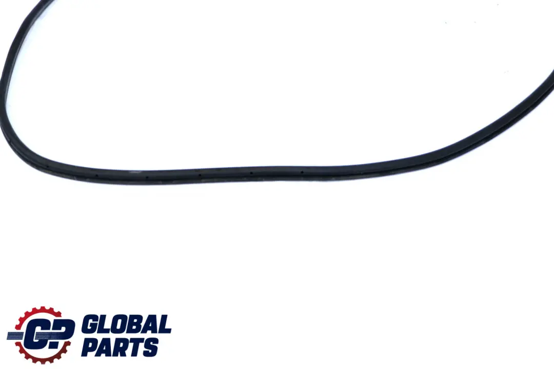 Mercedes W211 Front Left Right Door Frame Seal Gasket Black - SKU A2116970151-1 - Part number A2116970151