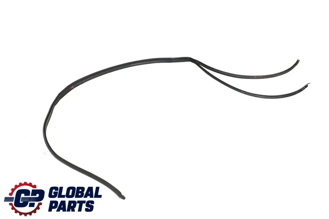 Mercedes-Benz S-Klasse W220 Tür Vorne Hinten Rechts Türdichtung - SKU A2206903898 - Teilenummer A2206903898
